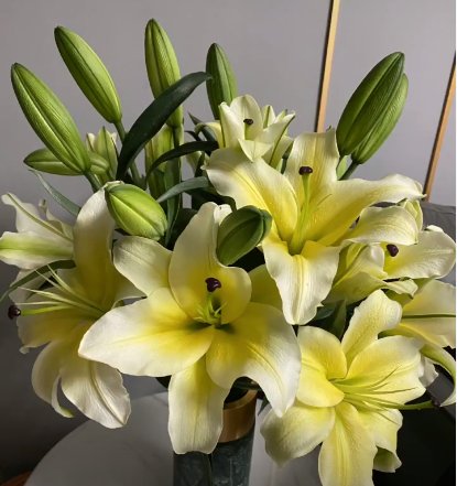 随机色黄百合三头，花店优质的进货渠道，从云选开始，云选鲜花