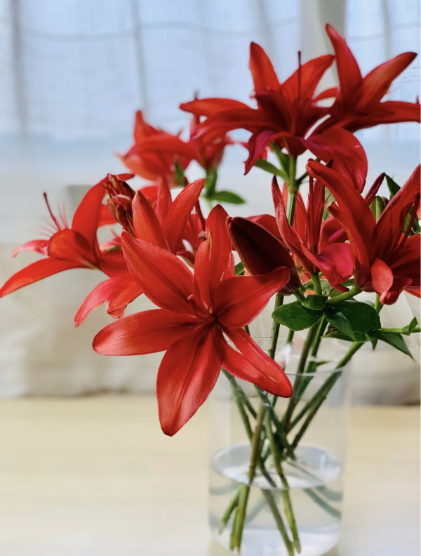 红袖百合多头，花店优质的进货渠道，从云选开始，云选鲜花