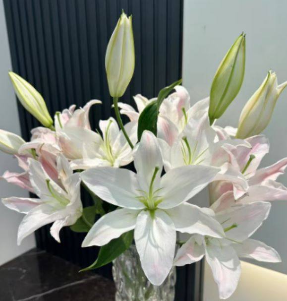 粉豆包百合多头，花店优质的进货渠道，从云选开始，云选鲜花