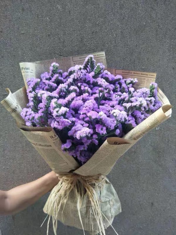 勿忘我-浅紫色，花店优质的进货渠道，从云选开始，云选鲜花