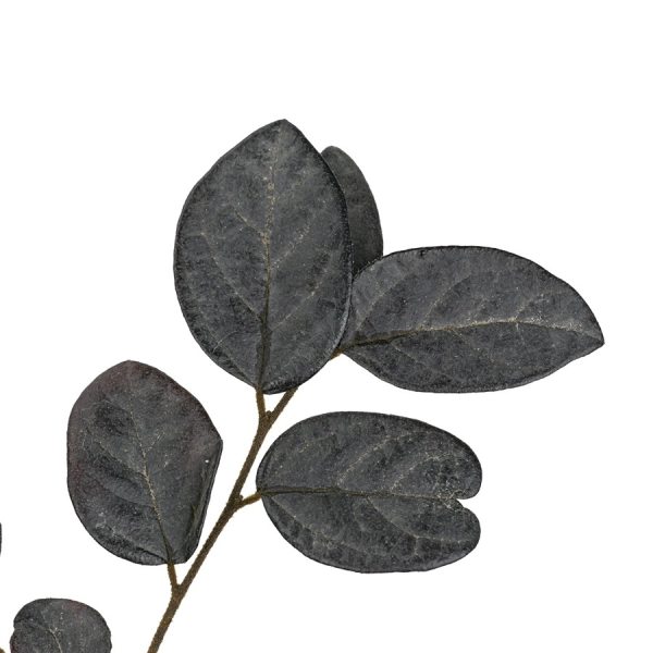 红继木，花店优质的进货渠道，从云选开始，云选鲜花